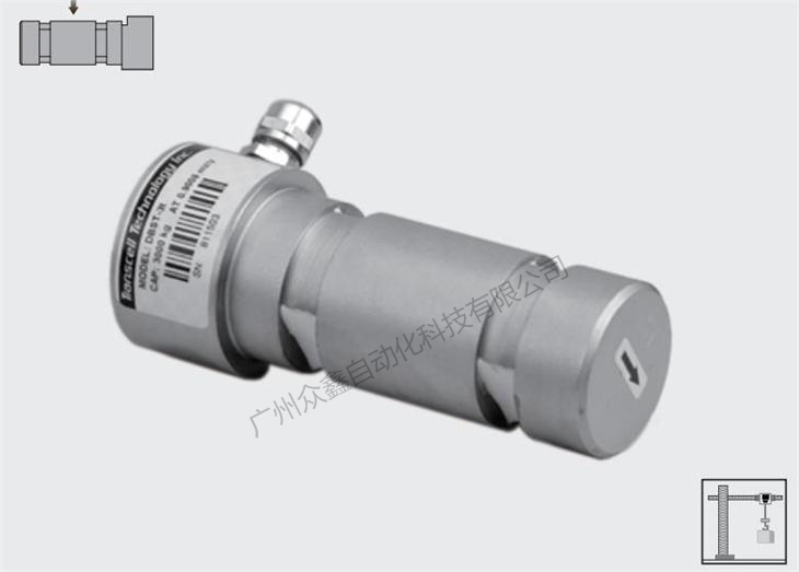 美國(guó)傳力 DBST-30T稱重傳感器圖片